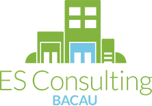 ES Consulting Bacau